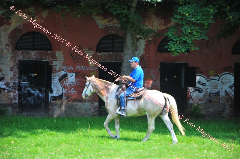 DSC_0934.JPG